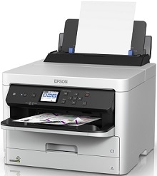 Driver Epson WorkForce Pro WF-C5290